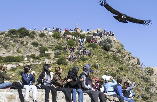 Trekking Arequipa – Cañón de Colca <span>2 días <br> 1 noche</span>