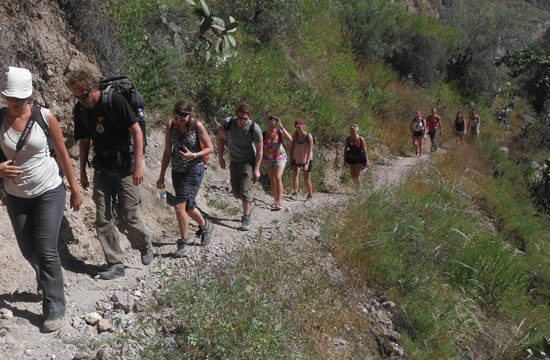 Trekking Arequipa – Cañón de Colca <span>3 días <br> 2 noches</span>